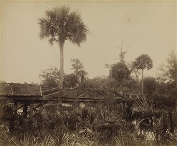 (AFRICAN AMERICANA) Old Log Hut, Florida * View of the Florida landscape * Two women in front of cabin, Thomasville, Georgia.